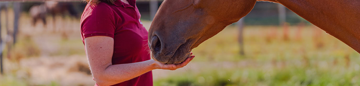 Allergies_alimentaires_du_cheval_Casalys_bandeau