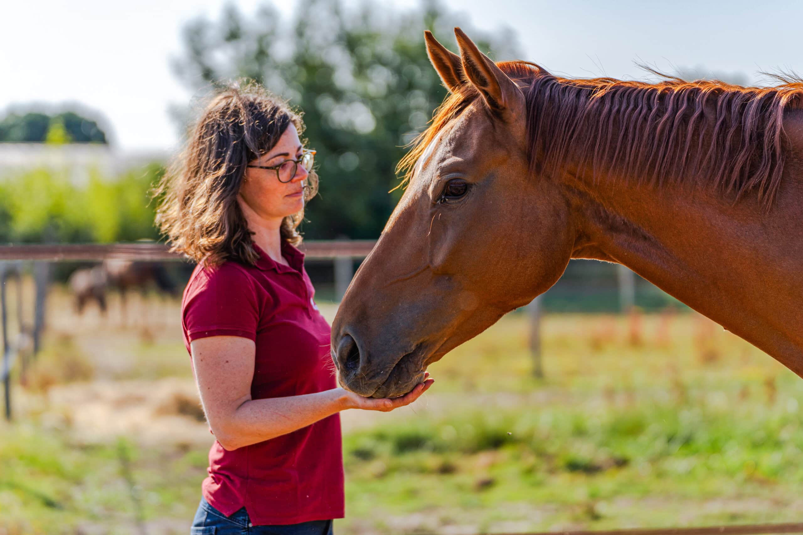 Personne tenant le museau d'un cheval dans la main.