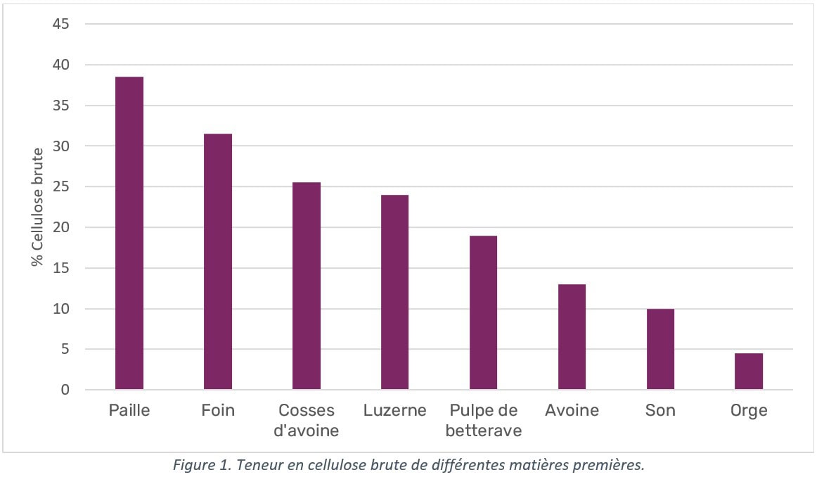 Tableau représentant la teneur en cellulose brute des matières premières principales de l'alimentation du cheval